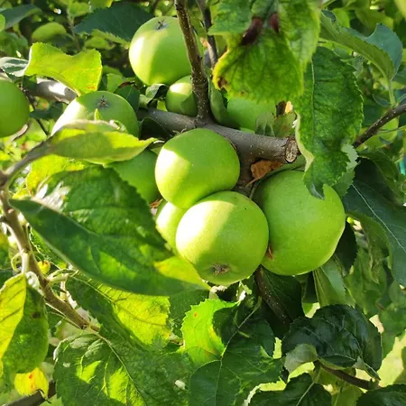 Trakata Апартаменты Варна