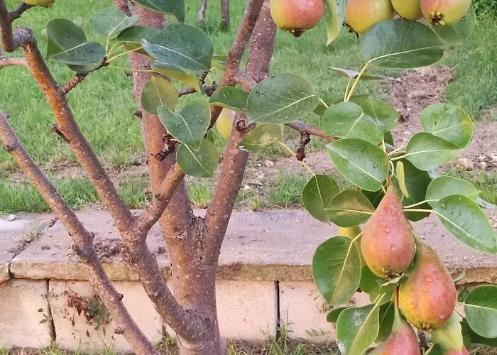 Διαμέρισμα Trakata Βάρνα