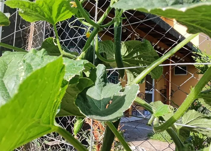 Διαμέρισμα Trakata *