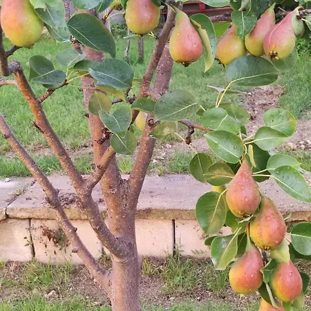 Апартамент Trakata Варна